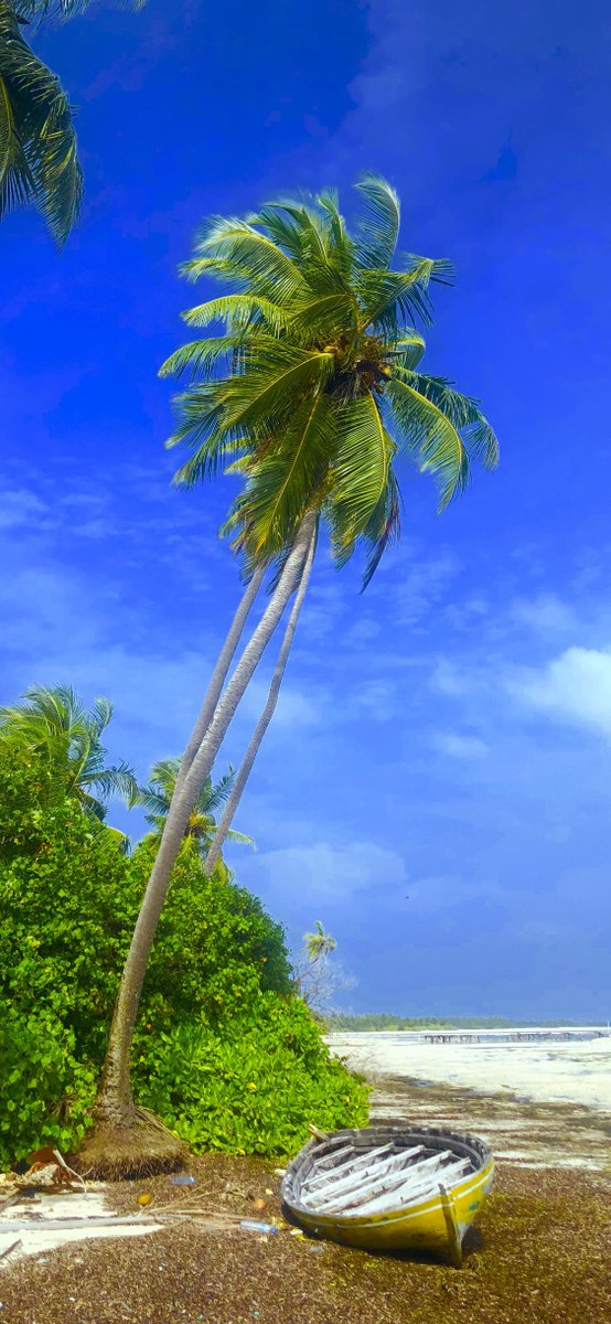 є∂мσи∂ ιвяαнιм уσσѕυƒ (@edmond_0424) on Twitter photo 