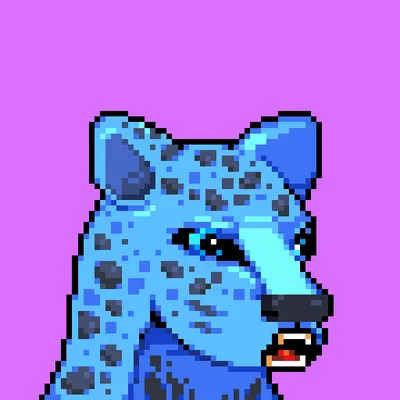 MAGIC COCKS tweet media