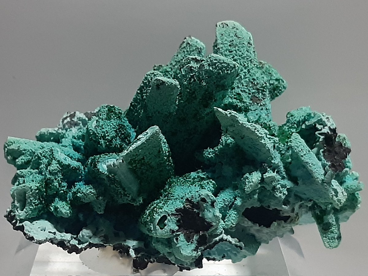 Zenkoh_mineral's tweet photo. #東京ミネラルショー で
@universe777m78 さんお迎えした石、 #Plancheite 。
なんだこれは…。見たことも聞いたこともない石に惹かれました✨
#東京ミネラルショー2022
#プランヘ石 https://t.co/xmMsJJFcE1