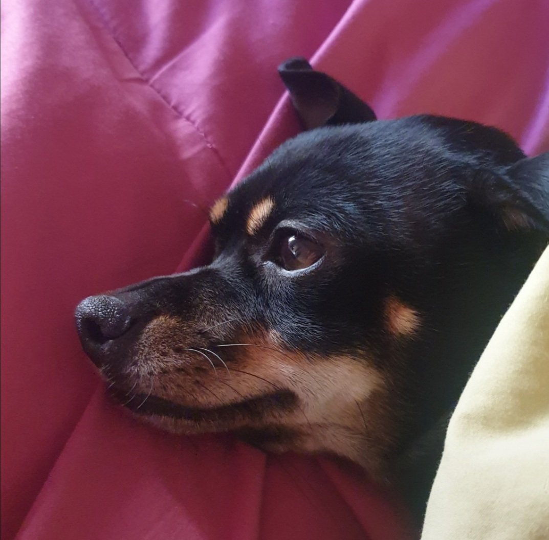 Chantaltomas's tweet image. Io e te..un corpo e un animaaa🎶🎵mi dovrei alzare ...oggi vado in bici..a lavoro #remiseenforme