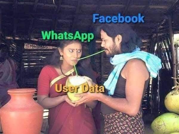 Oxen_io's tweet photo. https://t.co/U4nCb8GpOG