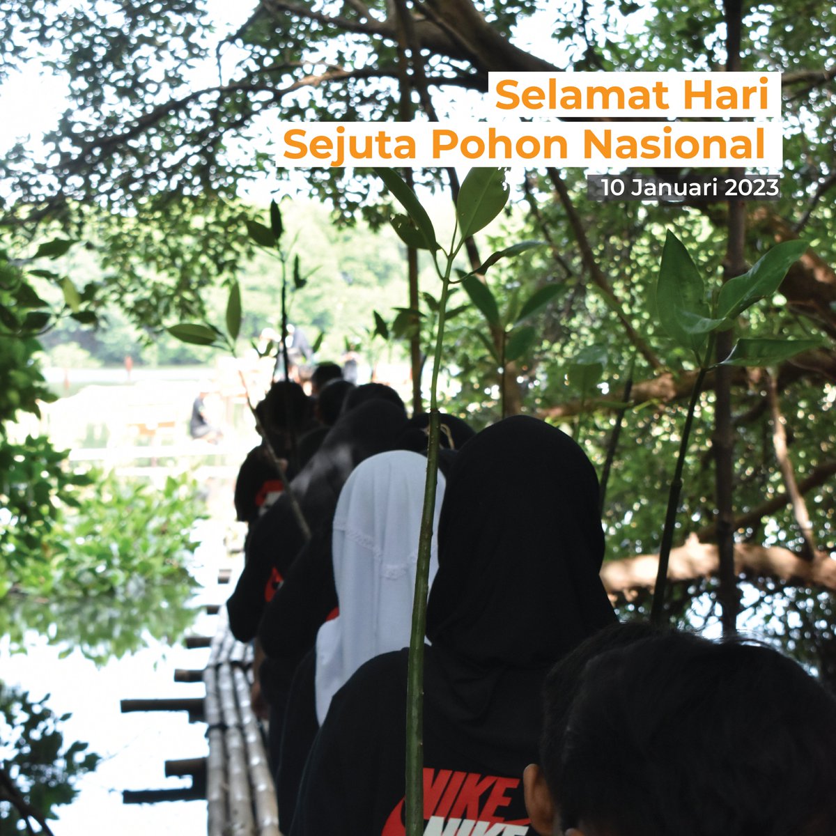 RNFRedNose's tweet photo. Selamat hari #SejutaPohonNasional ! https://t.co/NtsM8IDZXe