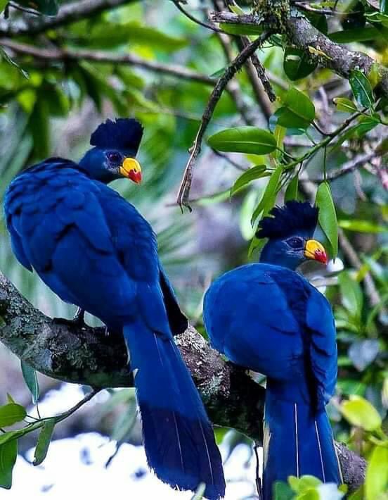 Hermoso 🤩