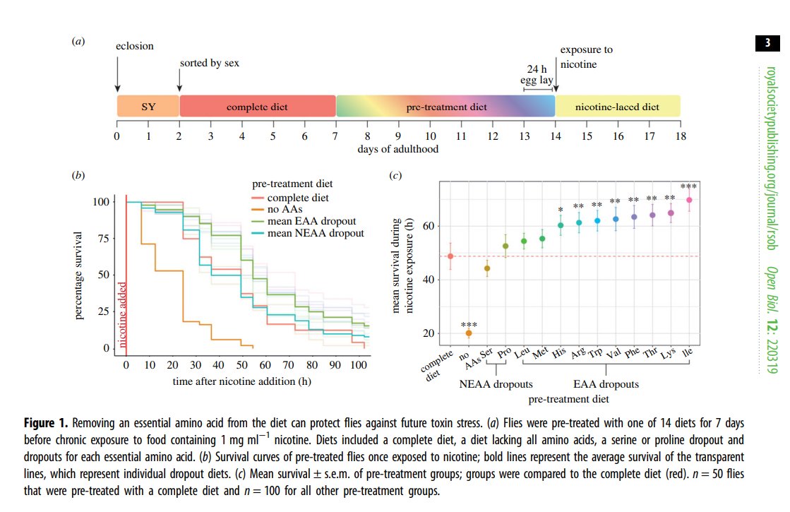 Can removing an essential amino acid from the diet protect flies against future toxin stress? <a href="/TahliaFulton/">Tahlia Fulton</a> @ChristenMirth and @mattpiperlab found short-term exposure to individual amino acid dropout diets could protect flies against exposure to nicotine royalsocietypublishing.org/doi/pdf/10.109…