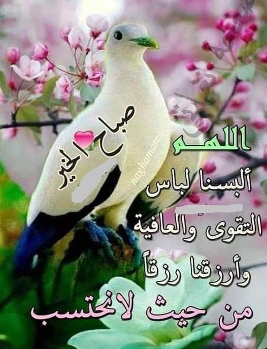اسعد الله صباحكم بكل خير