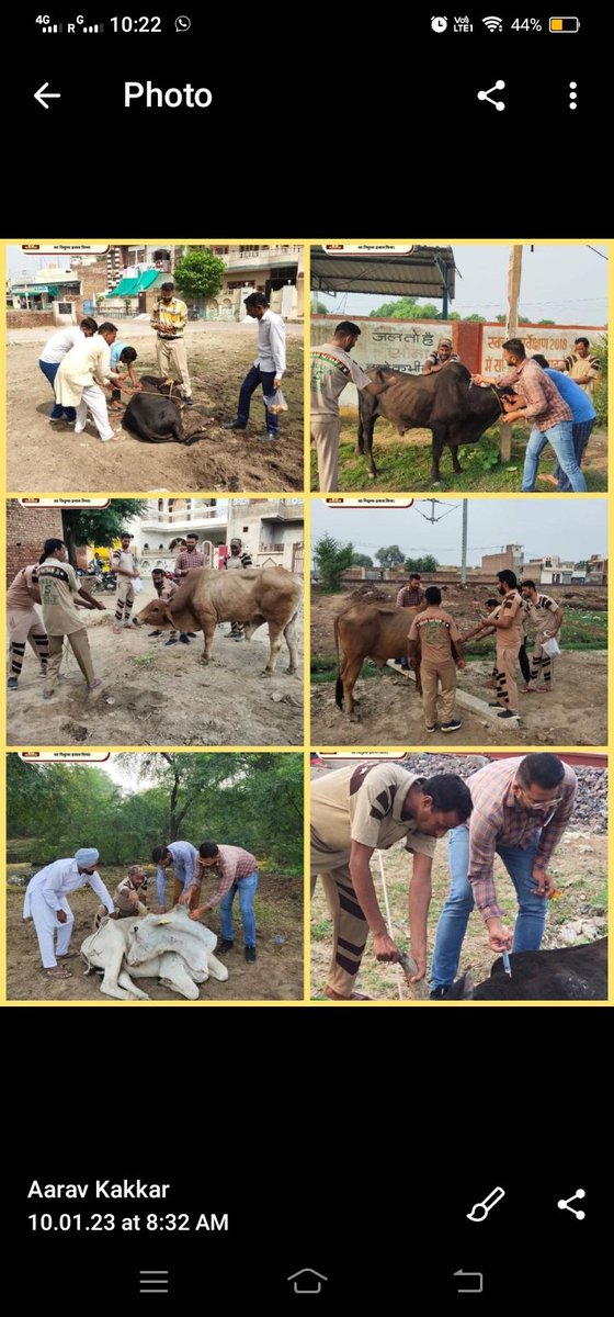 anu02505390's tweet photo. इंसान होने का फर्ज होता है यदि हम पशु पक्षियों की सेवा करते हैं saitn grumeet Ram Rahim ji हमें सुबह उठकर पशु पक्षियों को दाना देना चाहिए। डेरा सच्चा सौदा के अनुयायियों पशुओं को सामग्री भी प्रदान करते हैं और मानवता भलाई के कार्य में रहते हैं ।#Animalid@DSSNewsup deat https://t.co/I2Us2UdM1Q