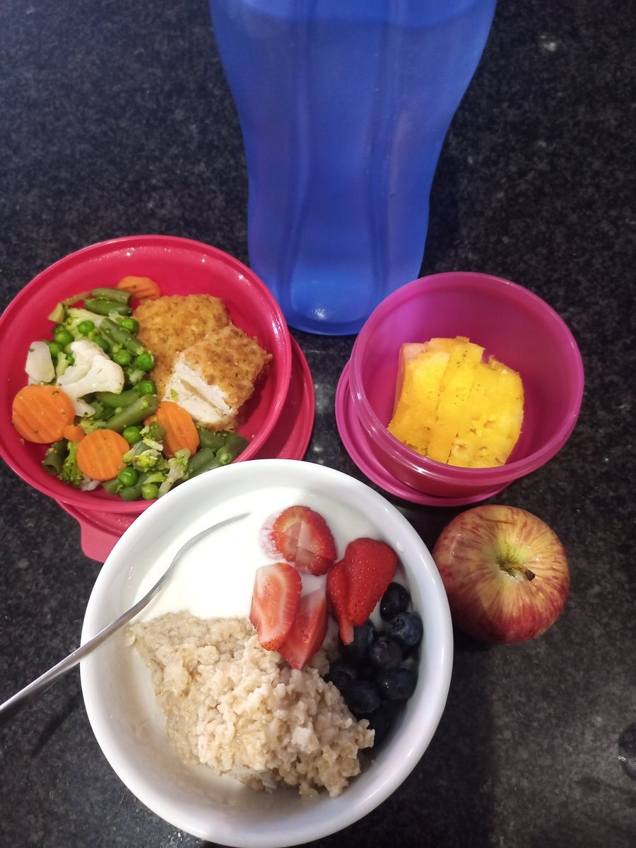 I_am_Handie's tweet photo. #detoxwithjua Day 2/21. Breakfast, lunch and snack. https://t.co/Ihs1rjPpTb