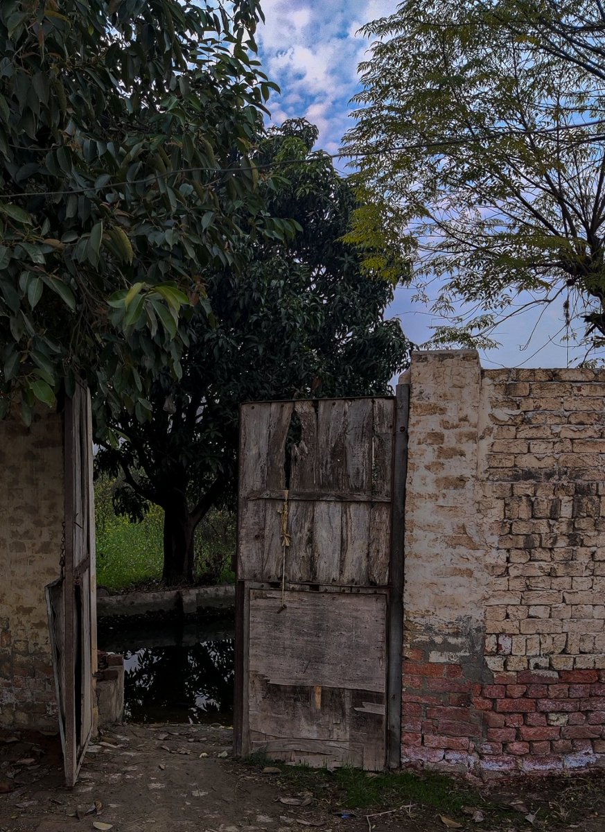 Haider3970's tweet image. Glorify him at night and at the fading of the stars.

Quran [52:49]

#oneplus8 #photography #lighroom