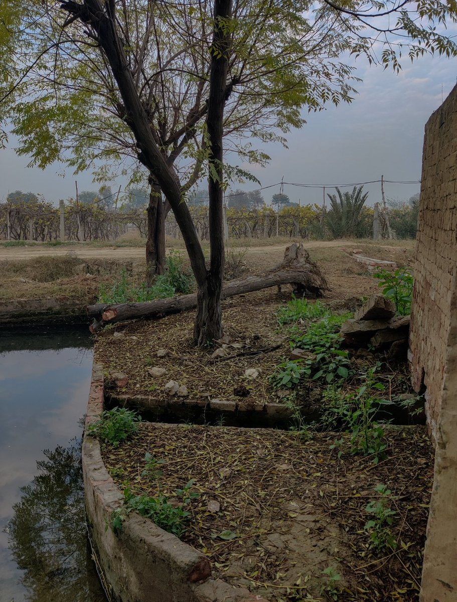 Haider3970's tweet image. Glorify him at night and at the fading of the stars.

Quran [52:49]

#oneplus8 #photography #lighroom