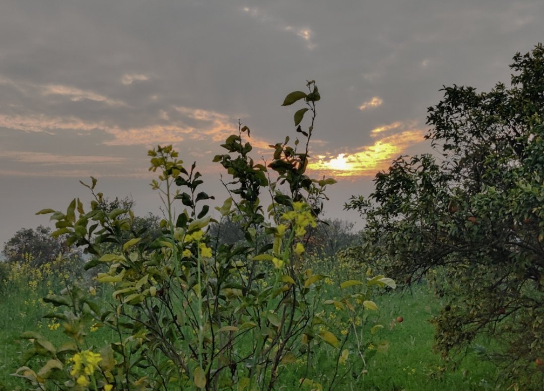 Haider3970's tweet image. Glorify him at night and at the fading of the stars.

Quran [52:49]

#oneplus8 #photography #lighroom