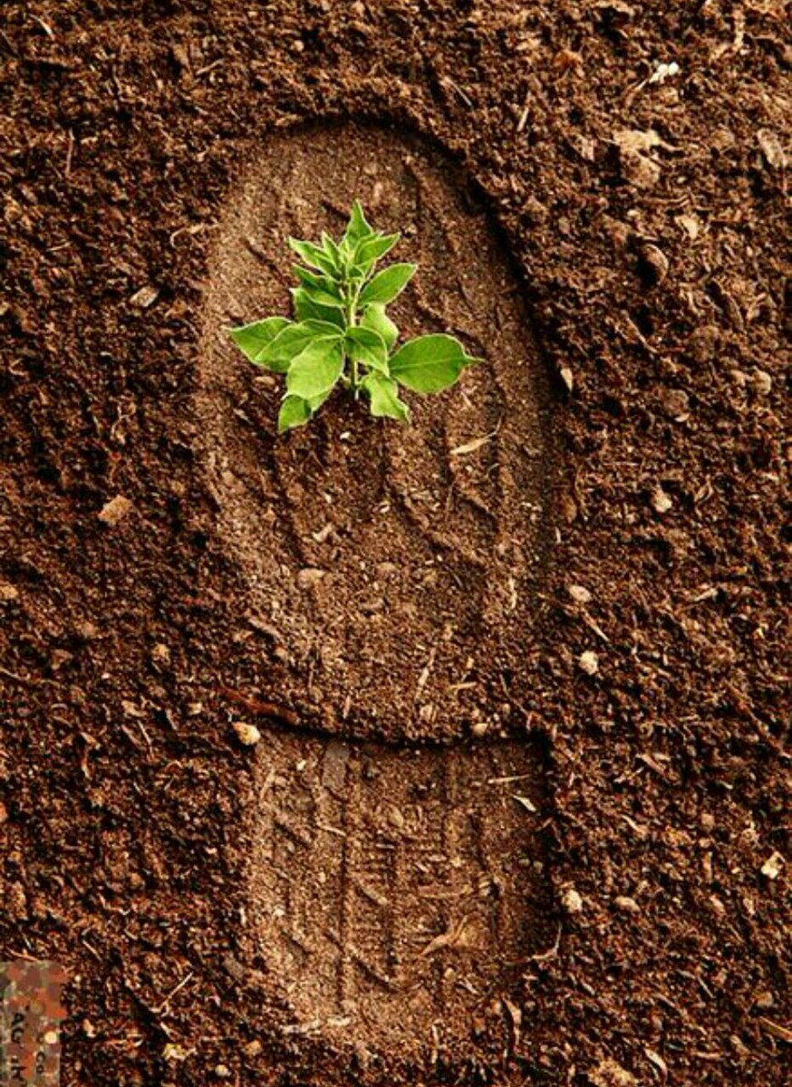 mkwtr6's tweet photo. -

*- وڪــن في الـطريــق عـفــيف الـخــطى* *شـــريــف الــسمـاع ڪـريـم الــنــظــر..* 
*وڪـن رجـلاً إن أتــوا بـعــده يـقـولــون مـرَّ وهــذا الأثـــر🌱..*

• https://t.co/exolWfkVDt