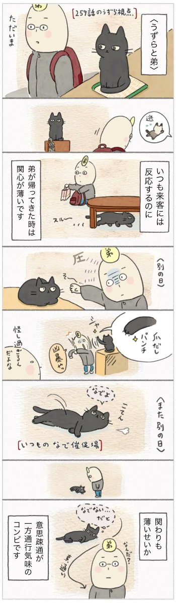 めったに会わない家族には挨拶もなし?マイペース同士は時間がかかる【連載】ねこ連れ草 260話め|ねこのきもちWEB MAGAZINE https://t.co/UXDAQXCdic