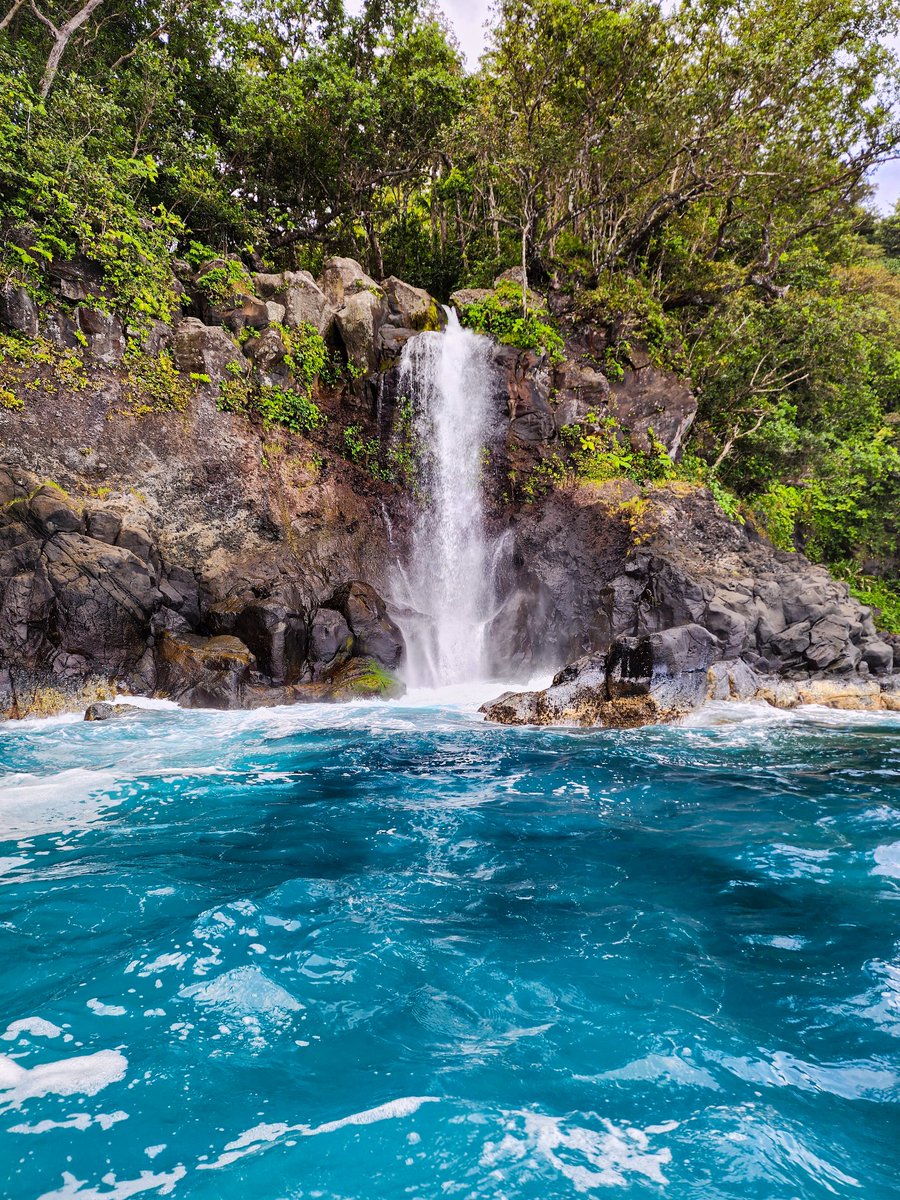 ETotovosau's tweet photo. Crazyy beautiful places in Fiji:
Lavena Village, Taveuni😍 https://t.co/HTIiDRoAPV