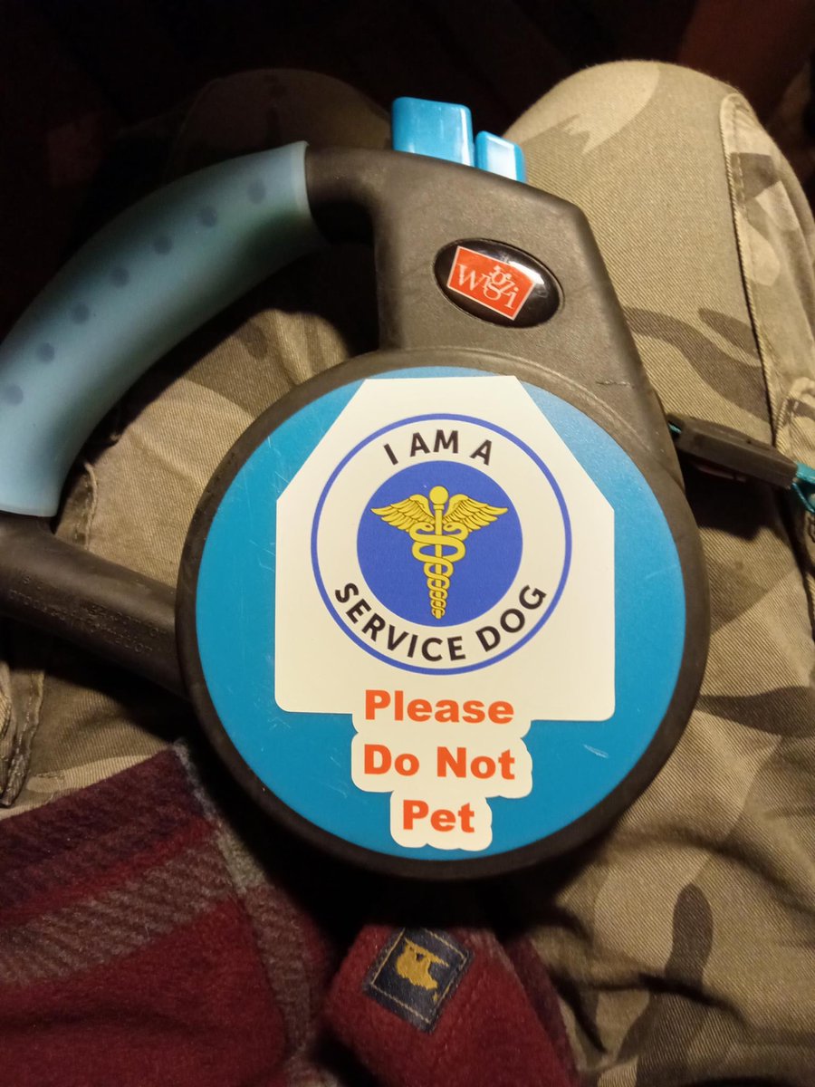 Commander X 🍀 tweet media