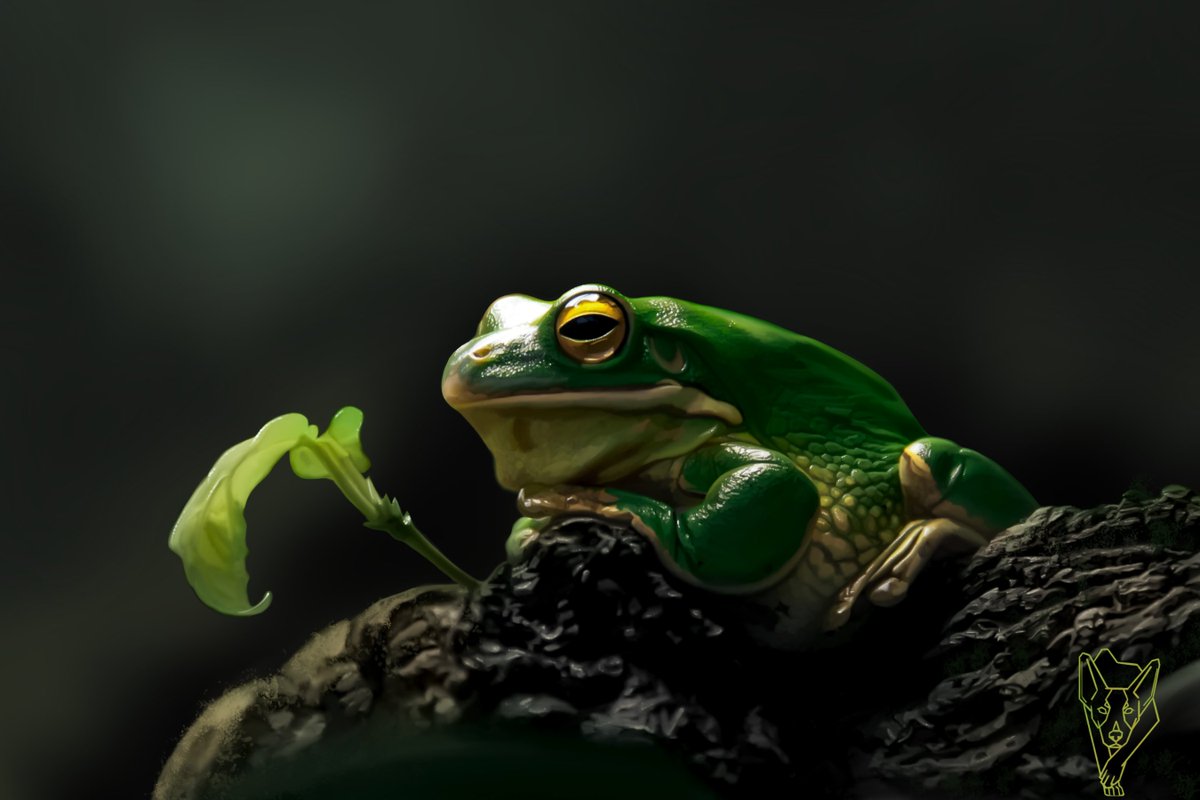 PetsPaints's tweet photo. @madworldink 🐸💚 most recent work 💚🐸 https://t.co/Ayc1zb5qAa