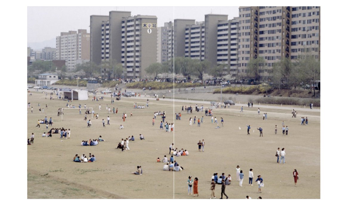 케이채 (K. CHAE) tweet media