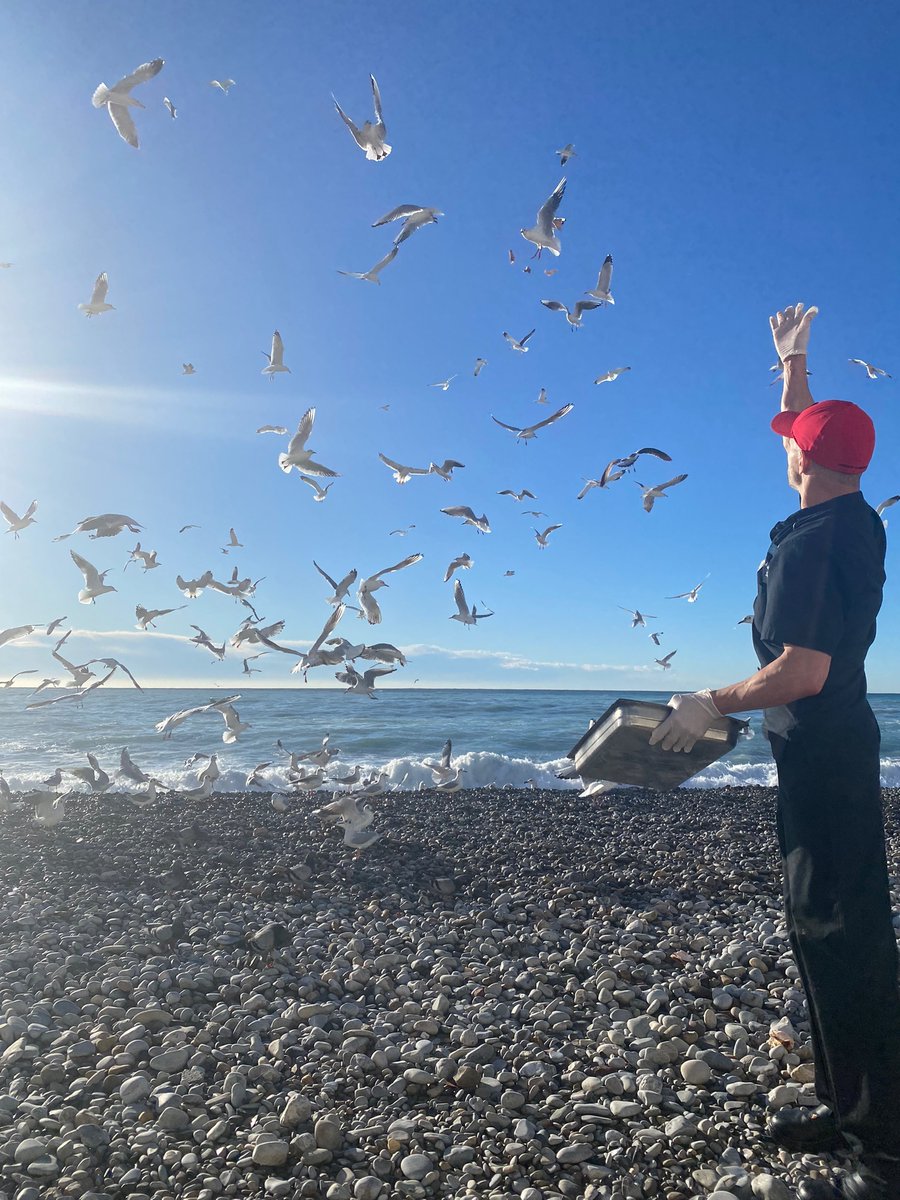 PlageBeauRivage's tweet photo. [ #RestaurantNice - #CotedAzurFrance ]
Votre @PlageBeauRivage ré ouvrira le 26 Janvier, et nos cuisiniers n'oublient personne , #zerogaspi 
@VisitCotedazur @ExploreNCA https://t.co/qIw5KwCQQ5