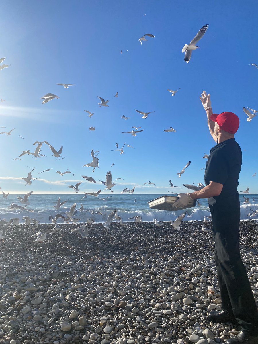 PlageBeauRivage's tweet photo. [ #RestaurantNice - #CotedAzurFrance ]
Votre @PlageBeauRivage ré ouvrira le 26 Janvier, et nos cuisiniers n'oublient personne , #zerogaspi 
@VisitCotedazur @ExploreNCA https://t.co/qIw5KwCQQ5