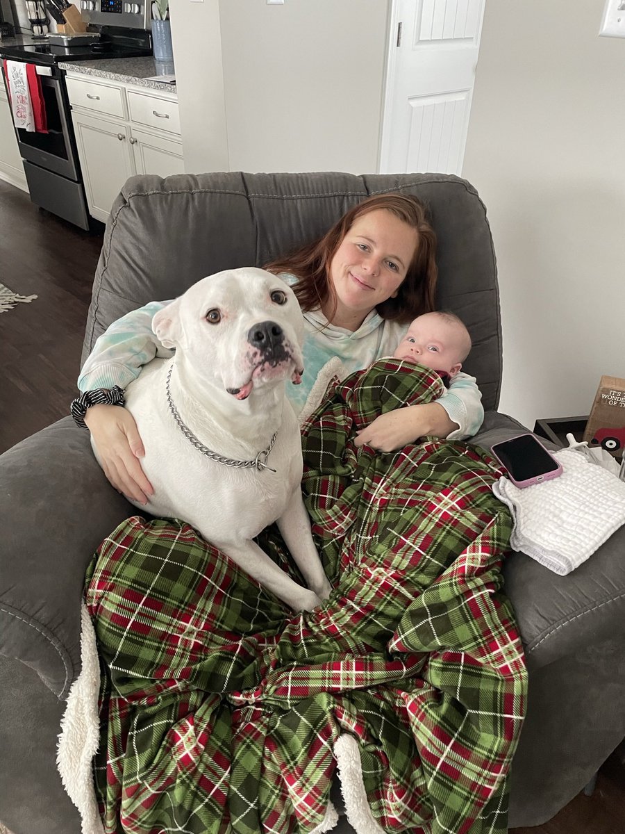 RicJames18's tweet photo. @MattWalshBlog Yeahhhh all pit bulls are soooo bad. What a dumb ass take. Mine says take your opinion &amp; fuck off Matt! 🖕🏻🖕🏻🖕🏻 https://t.co/iAr6Imyyeq
