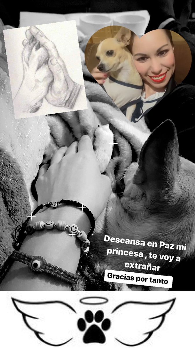 carmenbeltranl's tweet photo. Te voy a extrañar mucho Lady🐶 #QEPD 💔

#perrito #perrija #mamaperruna https://t.co/dU8rnEnakA