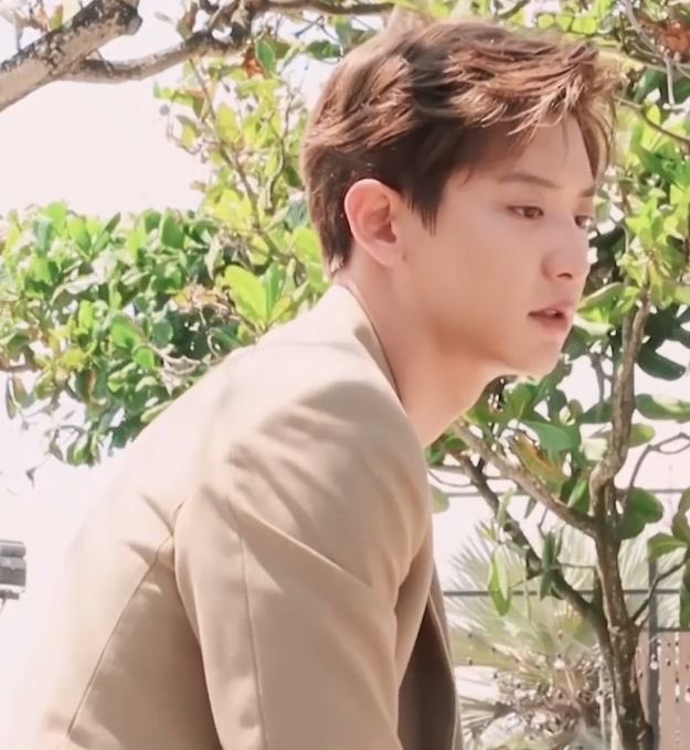 #찬열 🍃🌷🌾🌻