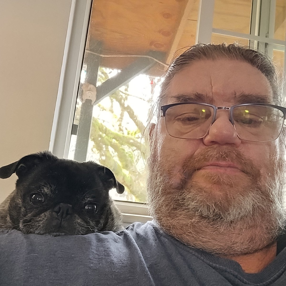 bobbybigbore's tweet photo. #NewProfilePic https://t.co/FzihFB7TU1
