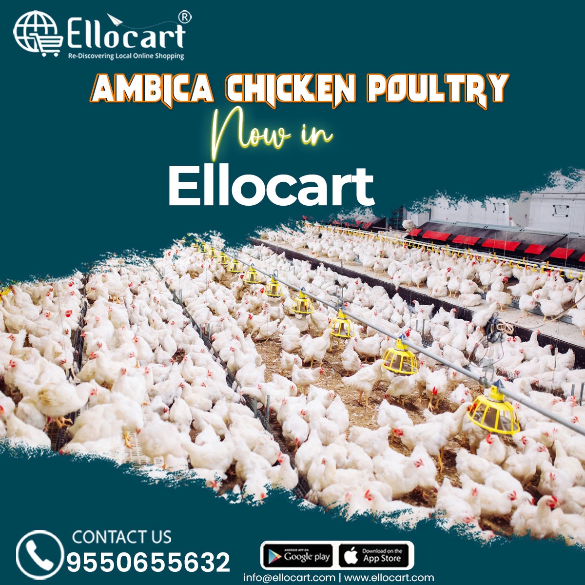 ellocart's tweet photo. Ambika Chicken Poultry Now in ELLOCART!!
Contact: 9550655632

Download the App Now!
Playstore:
https://t.co/fbFu5buHrk
App store: https://t.co/CTTXwoX5br

#Ellocart #Ambiks #chicken #poultry #now #available
#offers #freedelivery #home #delivery #save #money
#downloadnow https://t.co/4JjD7wHqyw