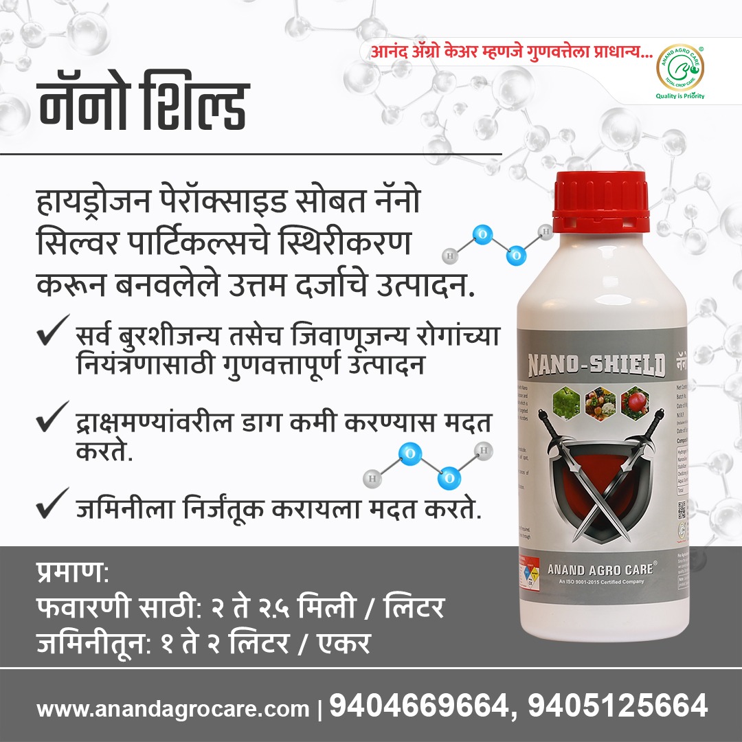 anandagrocare's tweet photo. नॅनो शिल्ड
सक्रीय घटक : हायड्रोजन पॅराक्सॉइड + नॅनो सिल्व्हर
प्रमाण :-
फवारणीसाठी :- २ ते २.५ मिली प्रति लिटर पाणी
जमिनीतून :- ड्रीप /ड्रेंचींग द्वारे १ ते २ लिटर /एकरी
#AnandAgroCare #hydrogen #hydrogenperoxide #nano #nanotechnology #nanosilver #silver #silverparticles #bhuri https://t.co/caqMpOjVTT
