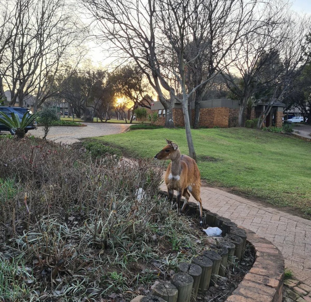 Mr_Moagi_Evans's tweet image. Good Morning 🌞

#magaliesparkresort 
#firstgroup