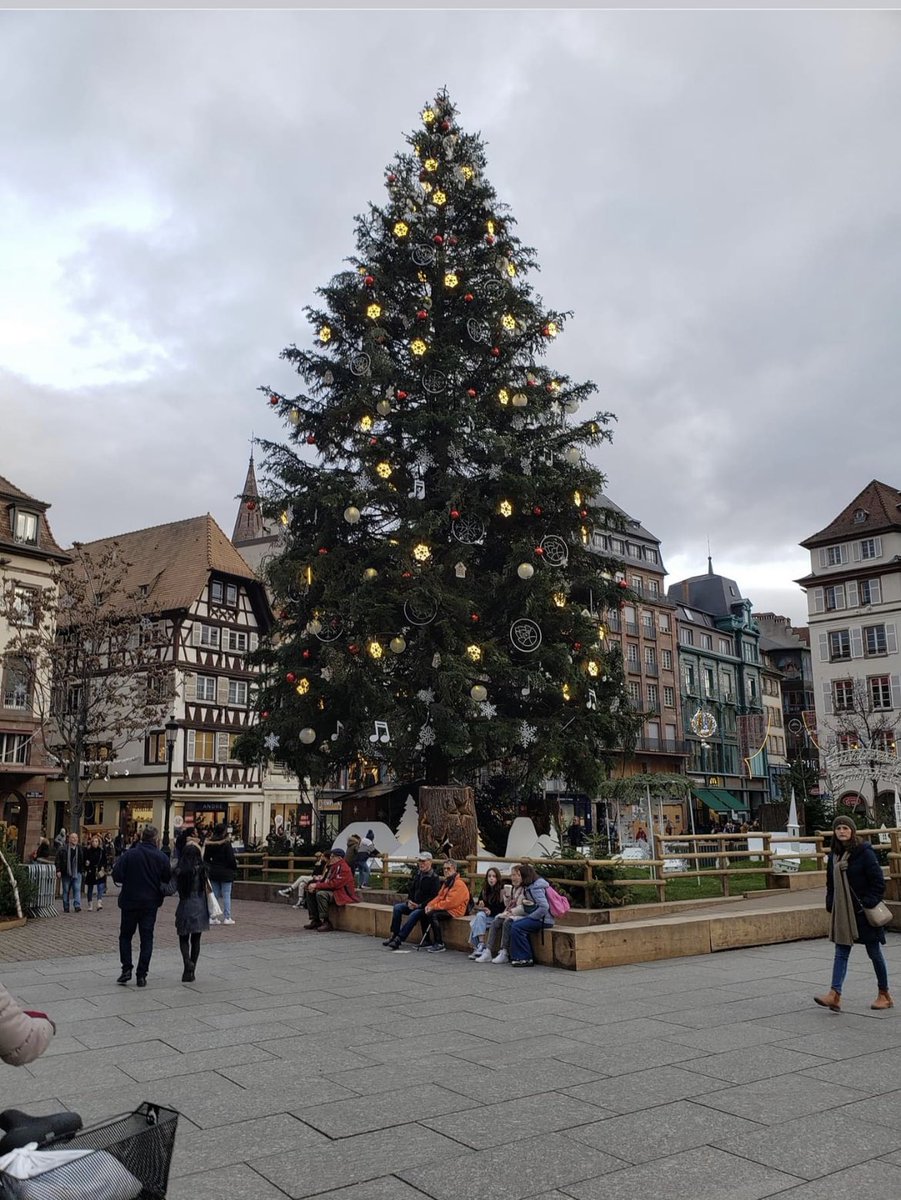 TintedTiara12's tweet image. When your cousin sends you pictures to cheer you up, but they make you homesick instead. #Germany #CUsoon