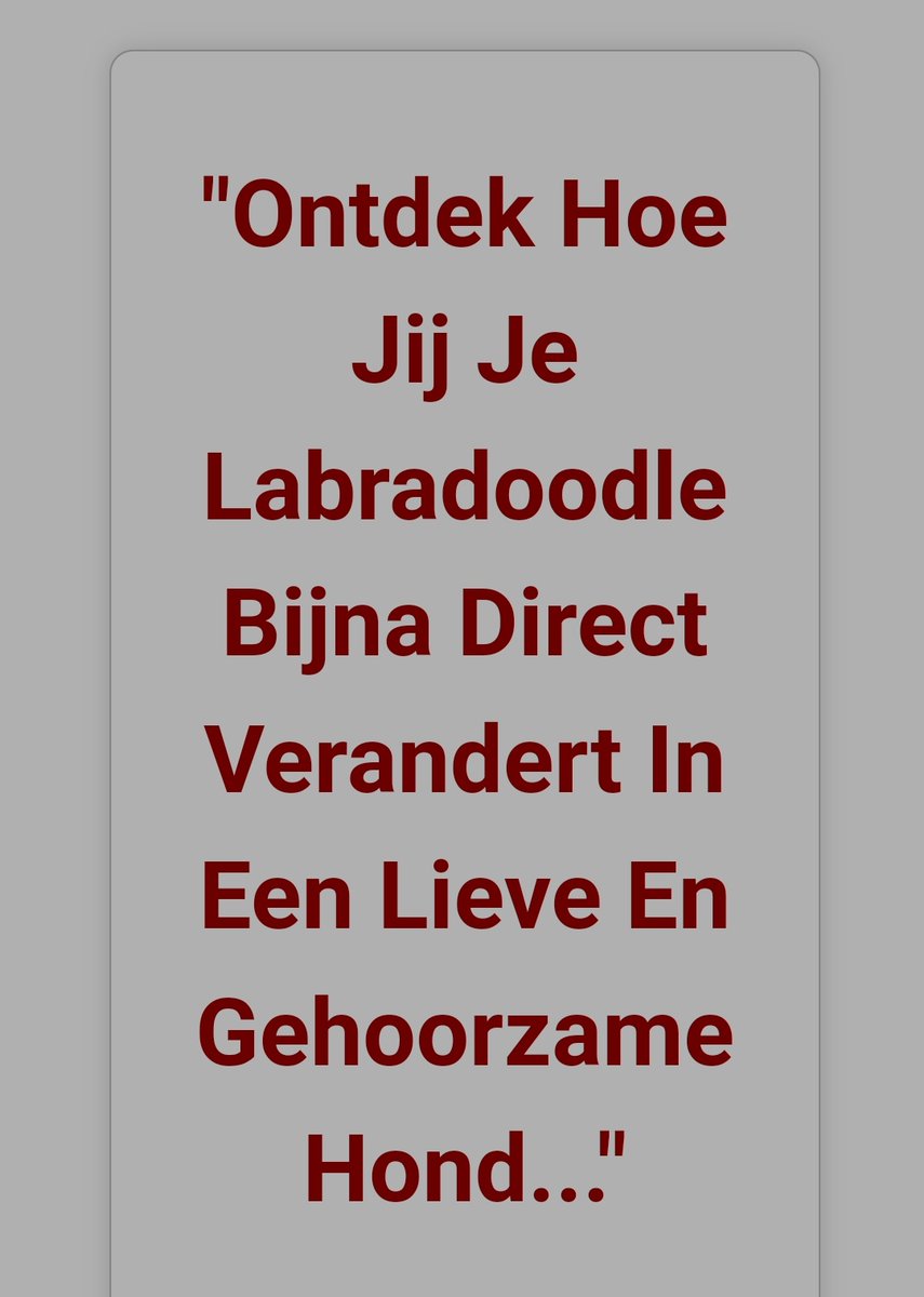 m_mneyy's tweet photo. https://t.co/8UhPk6V1GT
#Labradoodle
#labrador #honden #gehoorzaam #lief #Hond 
#geheimen #EducationForAll https://t.co/o38nFzuHzx