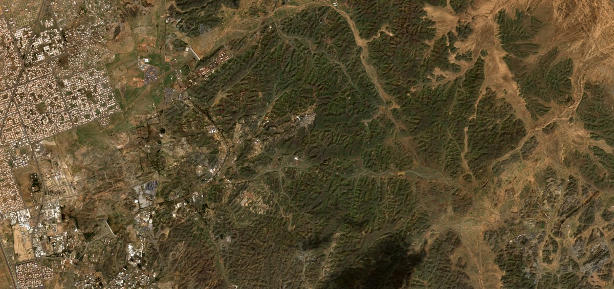 Freelan2English's tweet photo. صور من القمر الصناعي الأوروبي Sentinel-2A للجبال شرق مدينة جدة قبل وبعد الأمطار هذا الموسم تظهر انتشار الغطاء النباتي:
1/1/2023      13/10/2022 

#جدة
#جدة_الأن https://t.co/Sd512SMRod