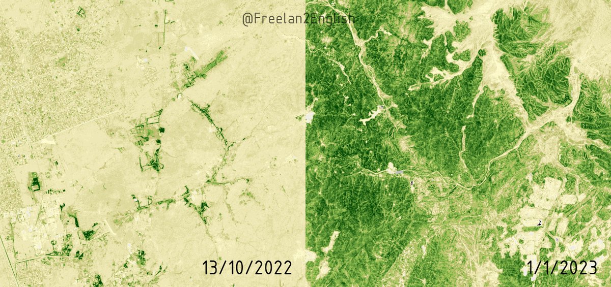 Freelan2English's tweet photo. وهنا نفس الصور لنفس المكان لكن بتقنية مؤشر الفرق المعياري للغطاء النباتي (NDVI) تظهر الانتشار الواسع للأعشاب في الجبال والوديان بعد المطر مقارنة بالانتشار المحدود للأشجار في بعض بطون الأودية والمزارع

#جدة 
#مكة_المكرمة https://t.co/8gIXQkqNyh