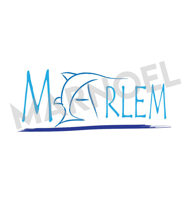 Marnoel_Designs's tweet photo. Two more happy Customers!!
#HairinParadise &amp; #MarlemDivingSchool
Both Located in Cairns, Australia. 🇦🇺
#LogoDesign https://t.co/fTUpuF2qbQ