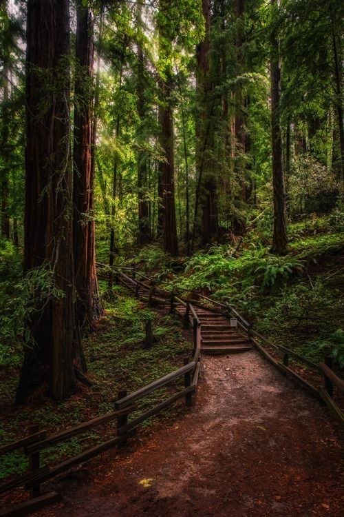 BİTKİLERİN GİZLİ DİLİ

youtube.com/watch?v=y2VsDx…