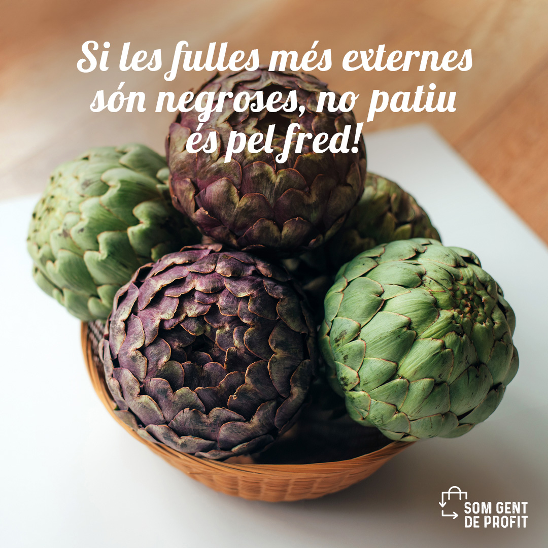 Avui parlarem de la carxofa. Sabies que es tracta d'una flor d'hivern? 🤩 Sí, ho has entès bé i, per tant, ara és la temporada ideal per gaudir-ne. Ofereix mil possibilitats per donar un toc de sabor als teus plats. Per aquest motiu és important tenir-ne cura.😉