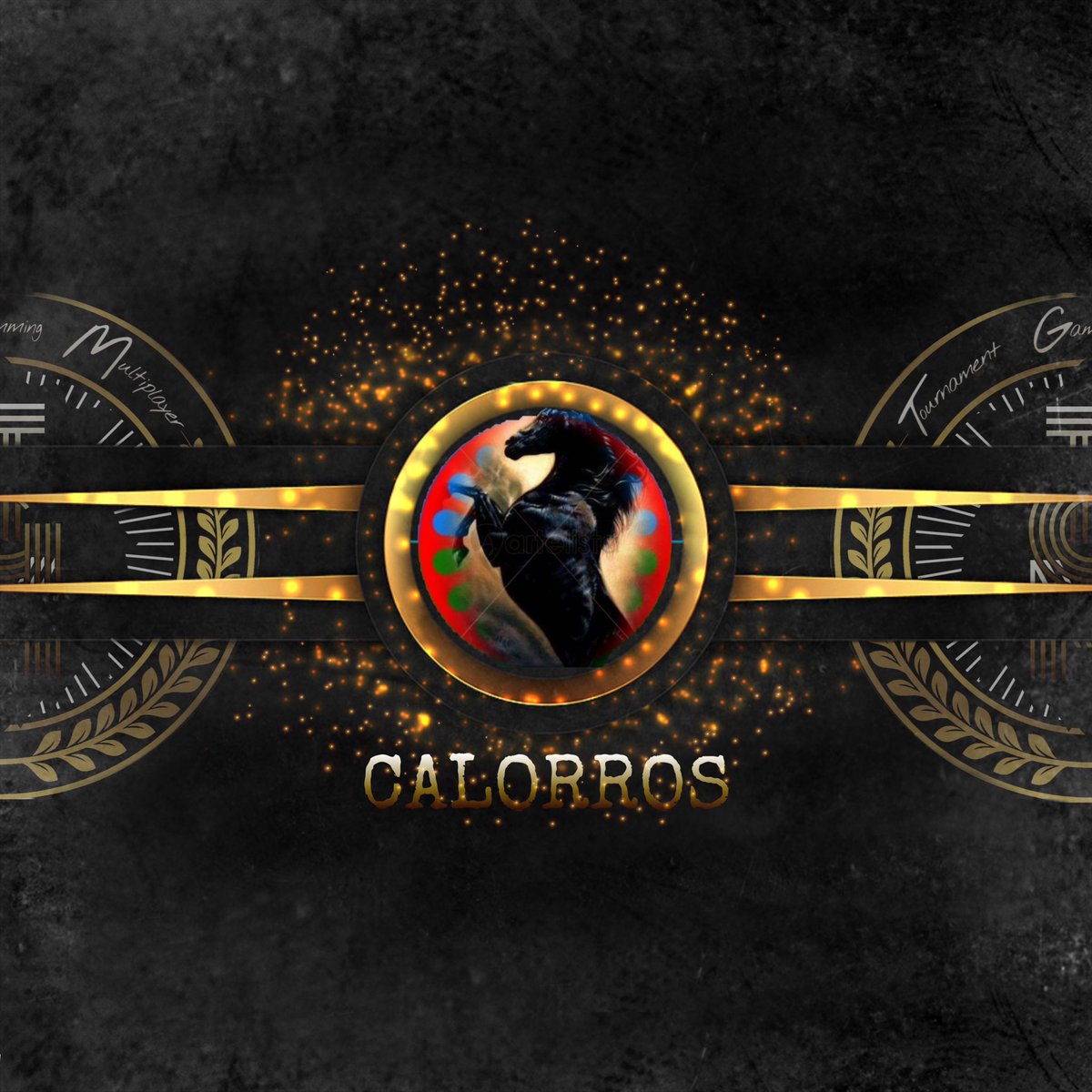 LigaTGM's tweet image. Un nuevo equipo para la liga de las 22:20h🕚 
Un bloque recién formado con ilusión y con un proyecto para luchar por estas arriba ⏫️
Mucha suerte equipo 👑
@Liga_TGM 
@Calorros