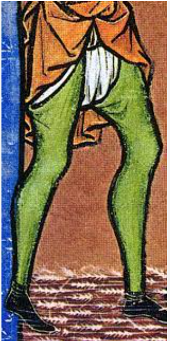 ショースはこれじゃよ。中世ヨ…もとい、まだズボンがなかった時代に男性が履いてた長い靴下みたいな足装備。 