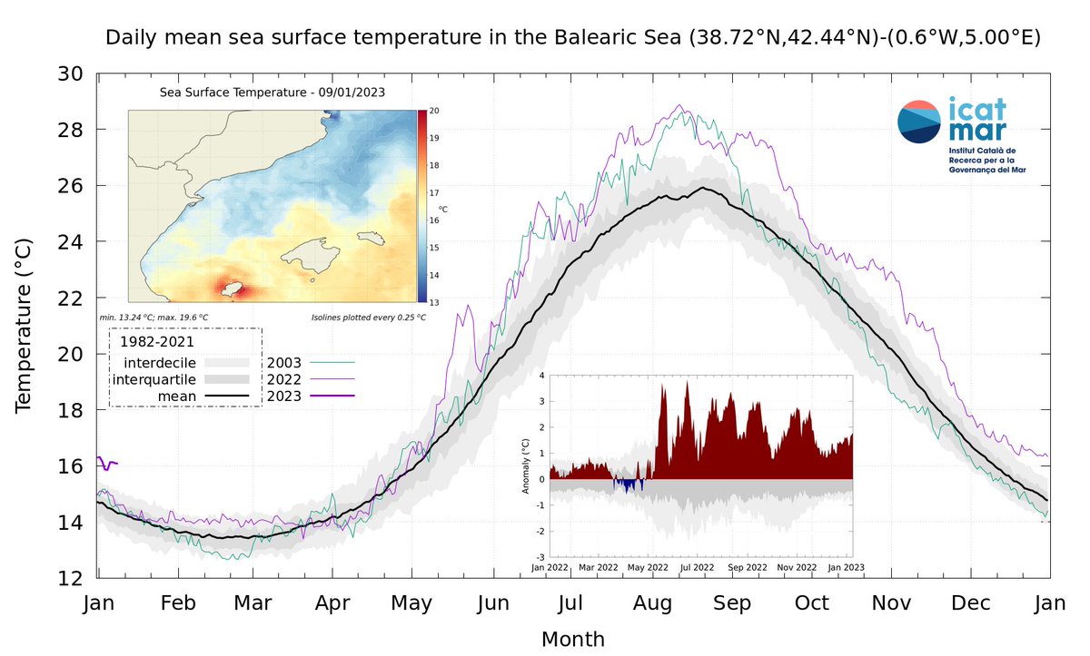 ⚠️La temperatura del mar Català i Balear segueix gairebé 1,8 °C🌡️ per sobre de la mitjana del període 1982-2021. Portem ja 250 dies seguits en aquesta situació, en 191 dels quals s'ha mantingut per sobre del 90 percentil i no sembla que hagi de baixar a curt o mitjà termini.