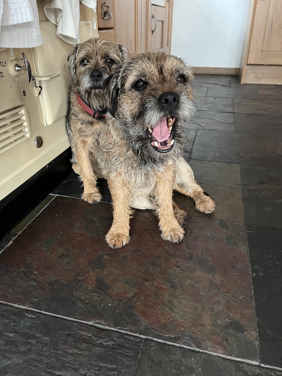 Miss Fizzy tweet media