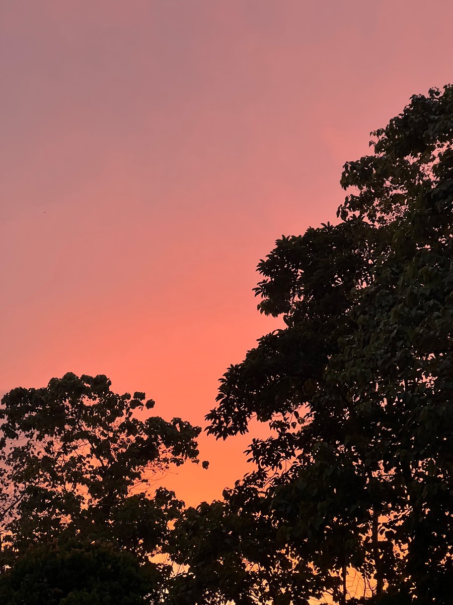 radenrauf's tweet photo. Langit sore ini indah lagi.
Mana langit di tempat kamu. https://t.co/IeFtmcdTDN