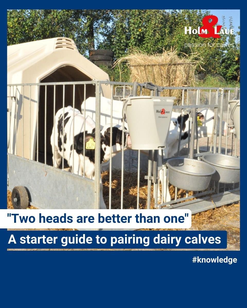 Holm & Laue UK / NL tweet media