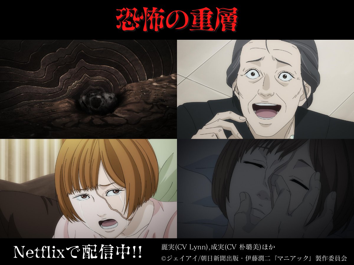 活動歴および当時の関連ビジュアル記録