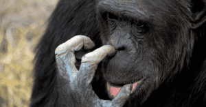 Aartjan van Erkel tweet media