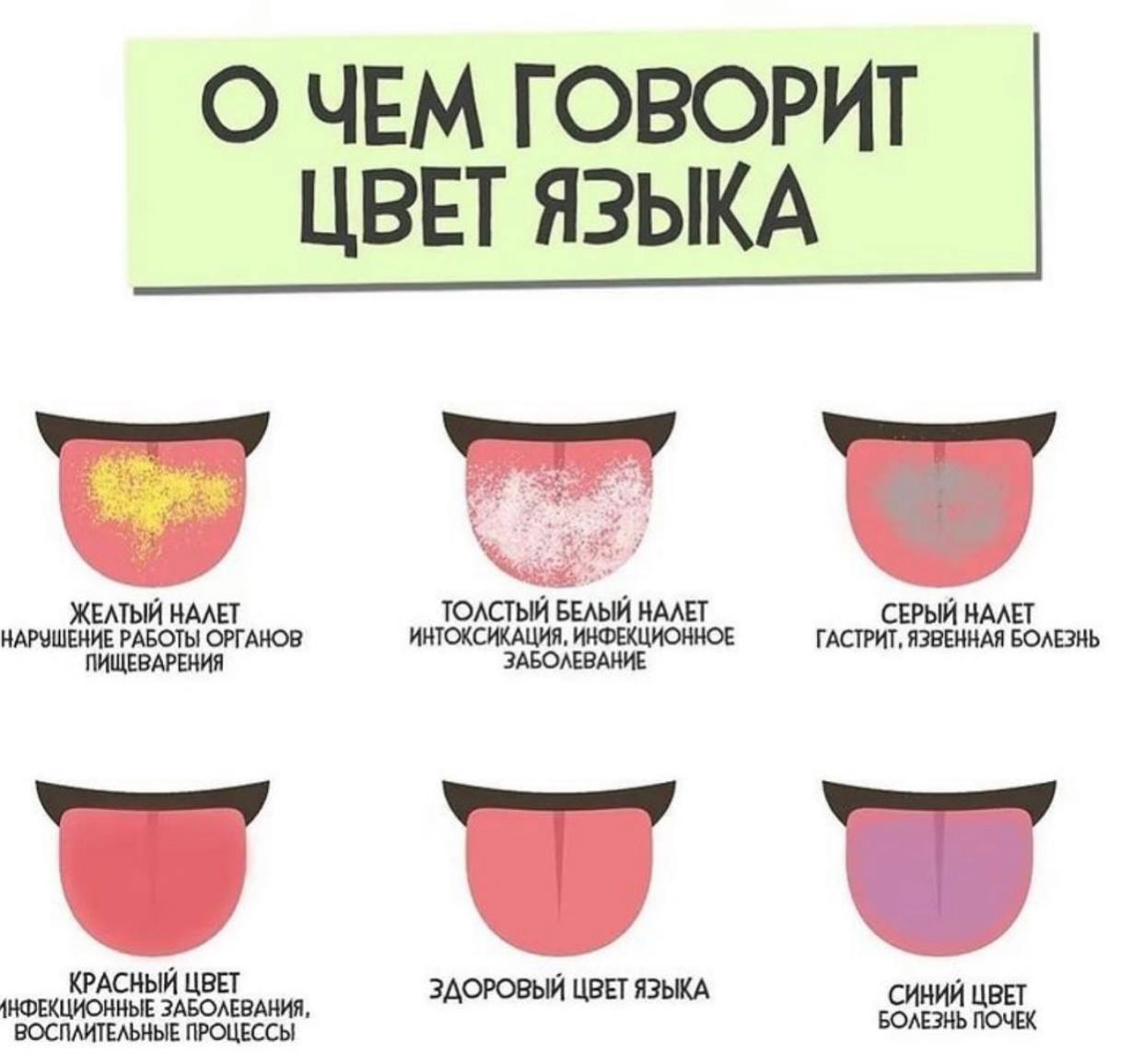 О чем говорзыкаит цвет я