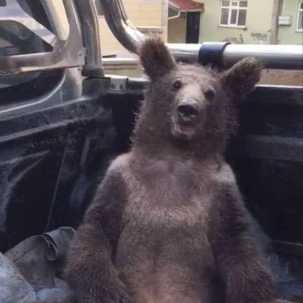 #BorsaIstanbul
Herkes borsacı olmuş anasını satam yok 50 günlük rallisini tamamladı ,dinlenmeye çekildi ,yok soluk alması gerekti,biz sizi uyardık dinlemediniz,yok çanak aya çarptı sekti marsa vardı vay anasını ülke komple ekonomi okumuş da bir biz kalmışız...