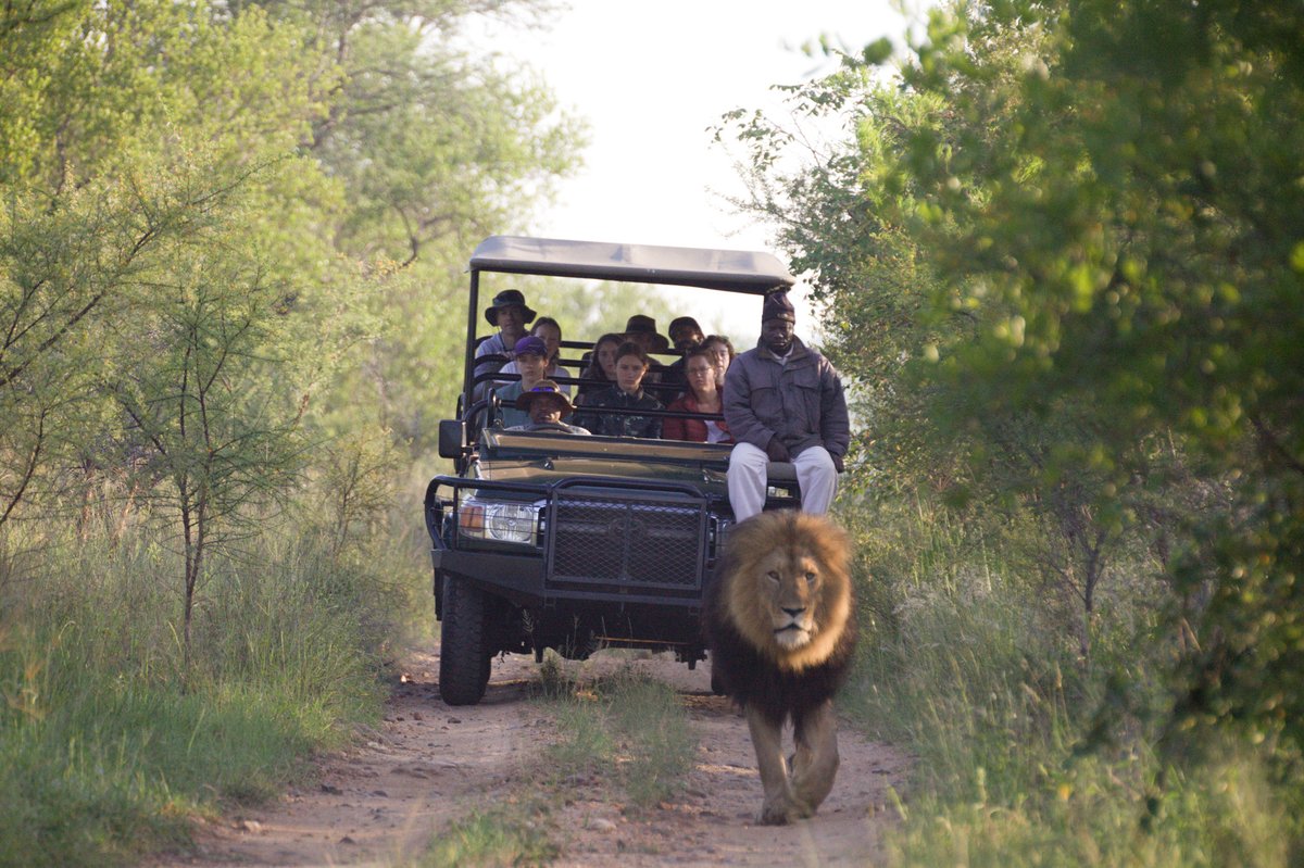 Beautiful images captured by Field Guide: Sondy Mothole
#karongweportfolio #hoedspruit #travel #safarinow