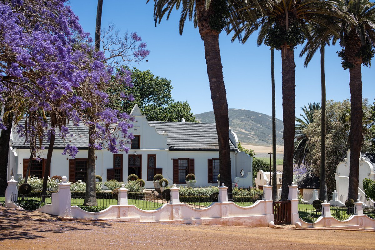 No weekend plans yet? Come and visit #Diemersdal. Contact us: bit.ly/3ODLYSz
