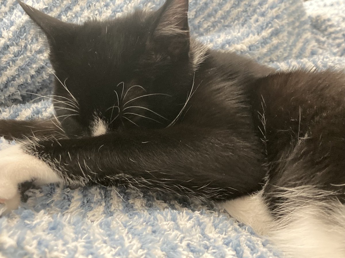 Flipbitz tweet media