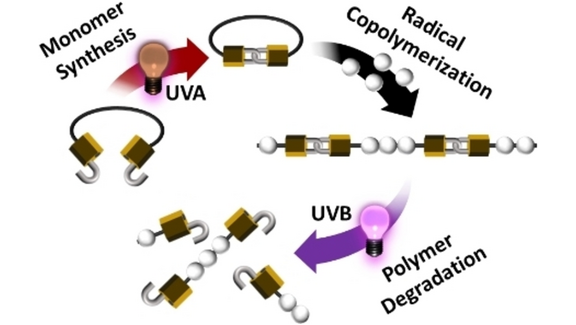 Angewandte Chemie (@angew_chem) on Twitter photo Programming Photodegradability into Vinylic Polymers via Radical Ring-Opening Polymerization (Frisch) <a href="/HendrikFrisch/">Programming Polymers</a> <a href="/QUTmaterials/">QUTmaterials</a> #openaccess onlinelibrary.wiley.com/doi/10.1002/an… Programming Photodegradability into Vinylic Polymers via Radical Ring-Opening Polymerization (Frisch) <a href="/HendrikFrisch/">Programming Polymers</a> <a href="/QUTmaterials/">QUTmaterials</a> #openaccess onlinelibrary.wiley.com/doi/10.1002/an…